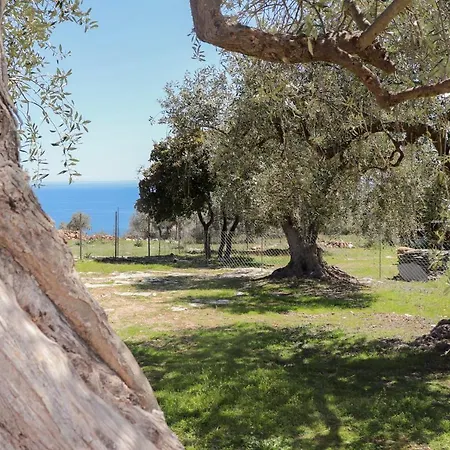 Casa Olivia شقة